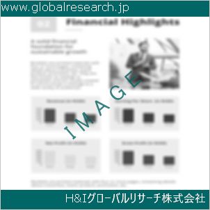 グローバルリサーチ調査資料のイメージ